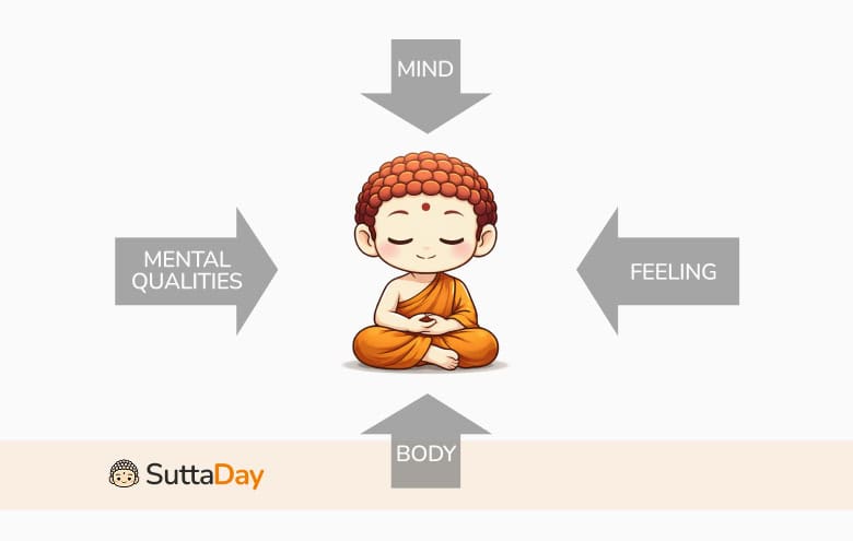 Diagram of mindfulness foundations: arrows labeled mind, feeling, body, and mental qualities pointing toward a meditating chibi monk; SuttaDay logo.